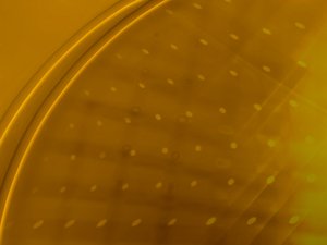 營(yíng)口市酒店有限責(zé)任公司