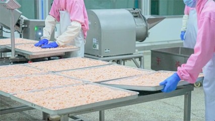 凍干代工,山東狗糧貓糧廠,狗糧貓糧代工,狗糧貓糧ODM